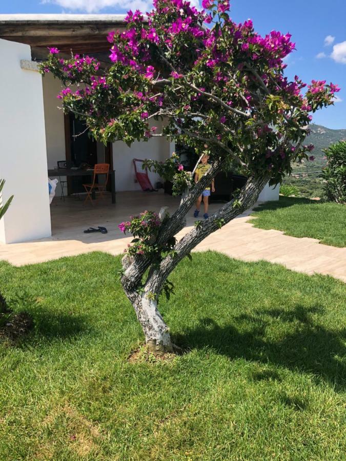 Villa Alba Esclusiva Villa Con Piscina A Sfioro E Vista Mozzafiato Sul Mare Куняна Екстериор снимка